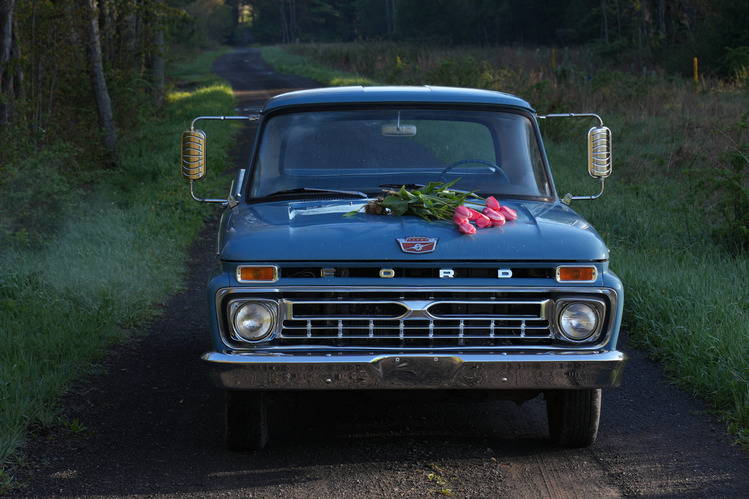 Old truck with flowers at Liberty Hill Flower Farm